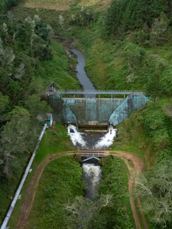 DJI_20240528073518_0162_D-scaled